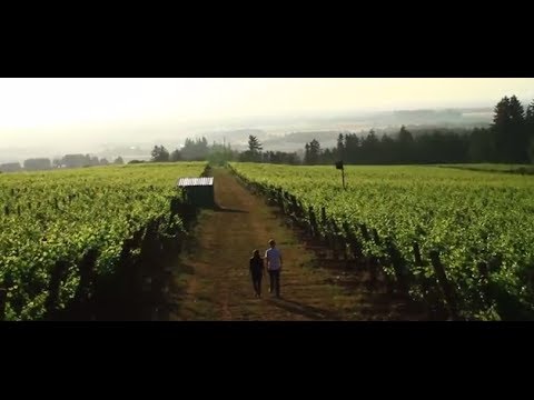 American Wine Story Trailer