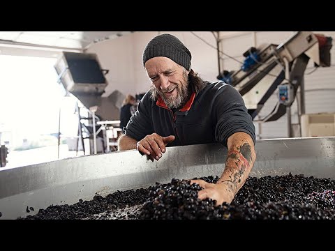 Brooks Harvest  2019